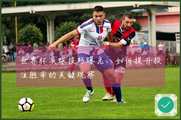 世界杯滚球技巧曝光，如何提升投注胜率的关键观察