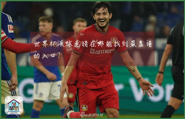 世界杯滚球竞猜在哪能找到最靠谱的入口？
