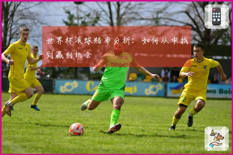 世界杯滚球赔率分析：如何从中找到赢利机会