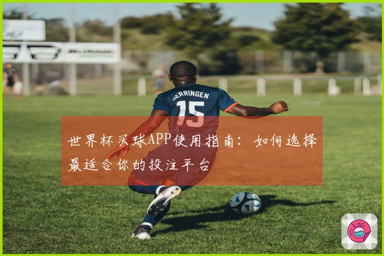 世界杯买球APP使用指南：如何选择最适合你的投注平台