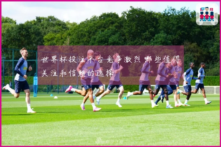 世界杯投注平台竞争激烈 哪些值得关注和信赖的选择