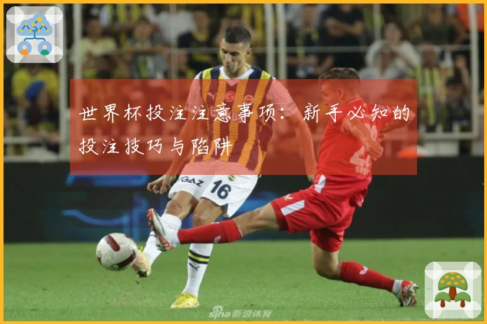 世界杯投注注意事项：新手必知的投注技巧与陷阱