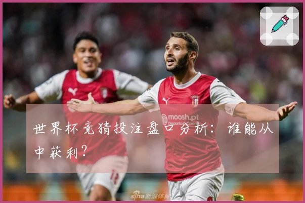 世界杯竞猜投注盘口分析：谁能从中获利？