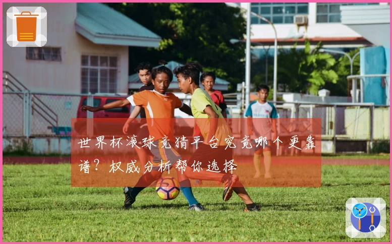 世界杯滚球竞猜平台究竟哪个更靠谱？权威分析帮你选择