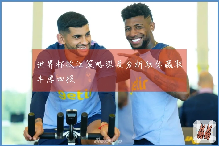 世界杯投注策略深度分析助你赢取丰厚回报