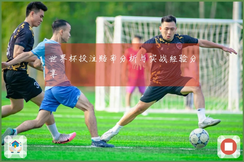 世界杯投注赔率分析与实战经验分享